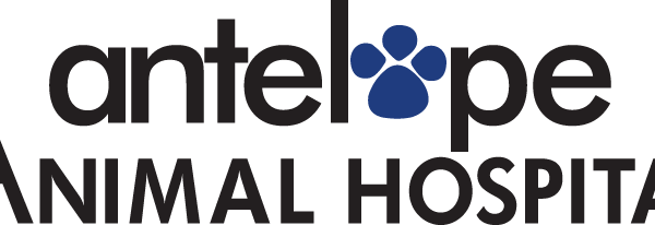 Antelope Animal Hospital Logo - Antergos Logo (600x206), Png Download