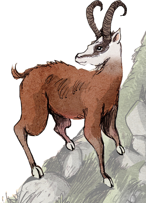 File - Dahudétouré - Dahu Myth (501x730), Png Download