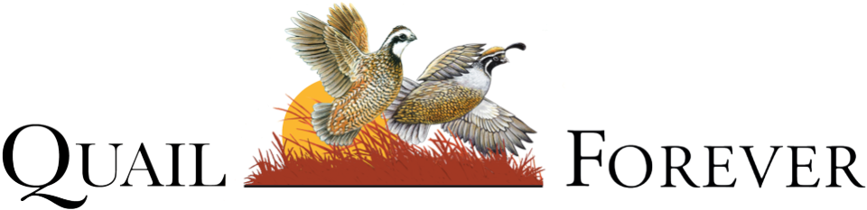 Quail (990x236), Png Download