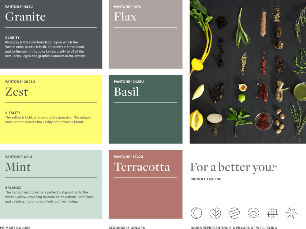 Wst Visid Mockups Faby (1000x750), Png Download