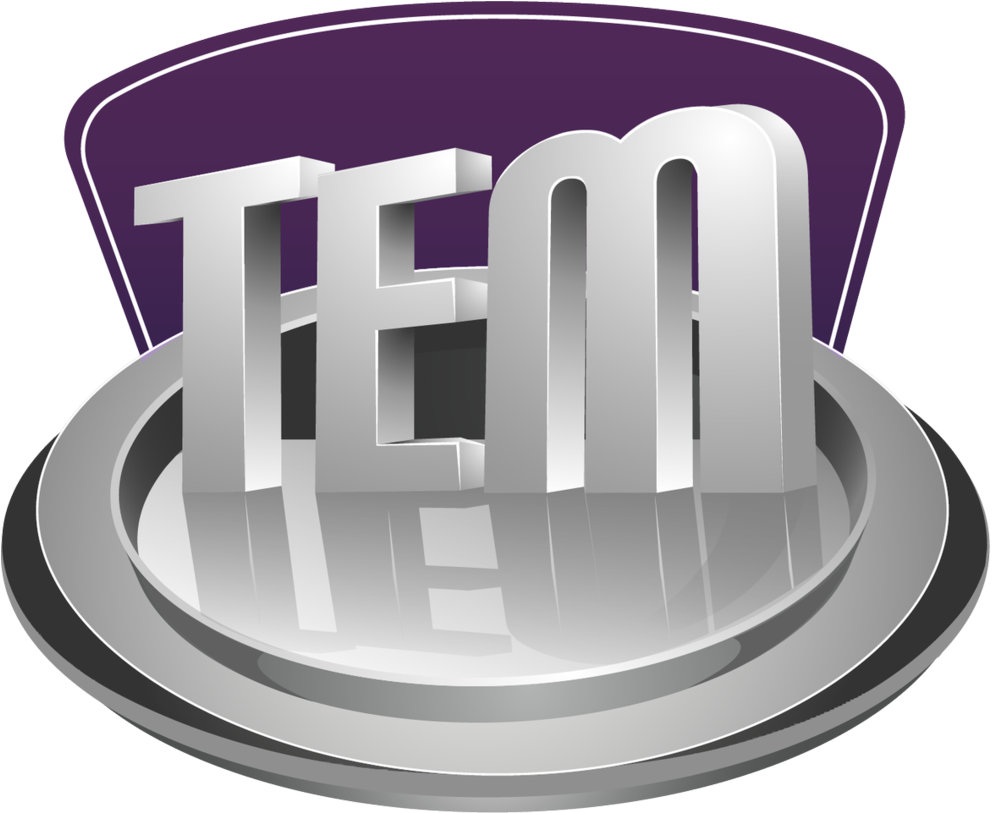 Tem Logo - Portable Network Graphics (1000x812), Png Download