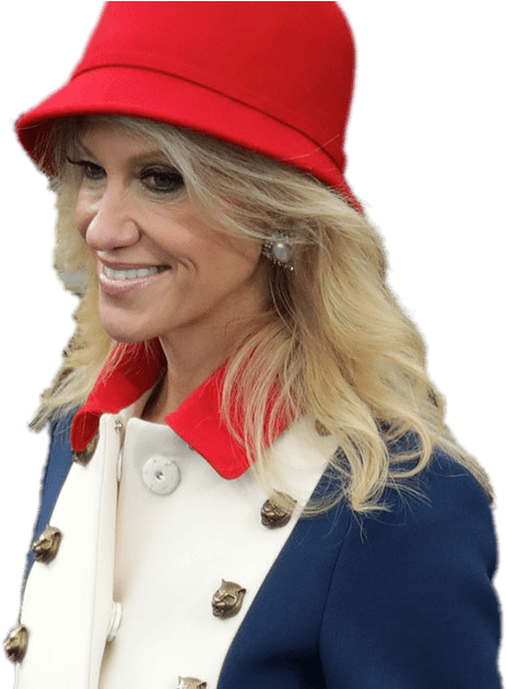 Download - Transparent Kellyanne Conway Png (1200x630), Png Download