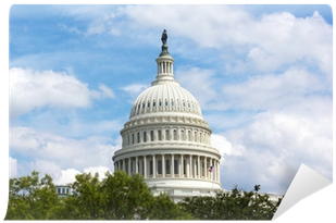 Us Capitol Building Dome, Washington Dc Wall Mural - U.s. Capitol (400x400), Png Download