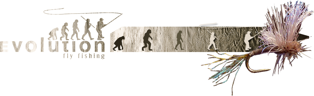 Evolution Flyfishing (1007x310), Png Download