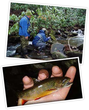 Fly Fishing (313x387), Png Download