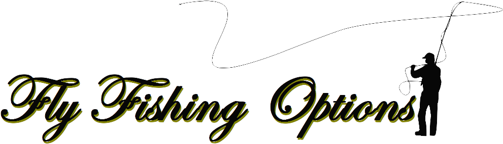 Our Fly Fishing Options Page Splits Up Yosemite Into - So Falls A Sparrow: Ethical Medical Decisions At The (1001x291), Png Download