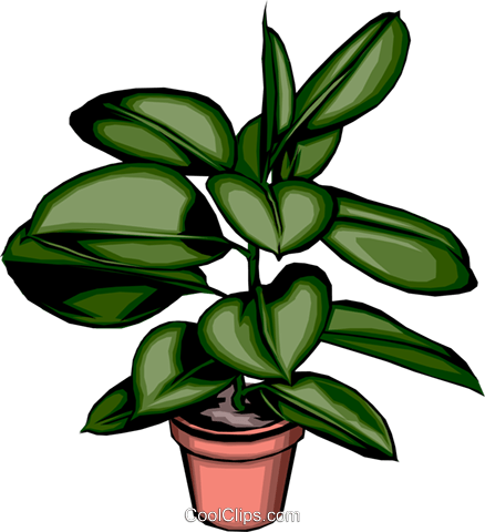 Potted Plant - Plant Clip Art (438x480), Png Download