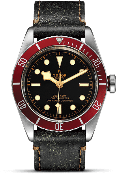 41 Mm Steel Case - Tudor Heritage 79230r 0002 (540x720), Png Download