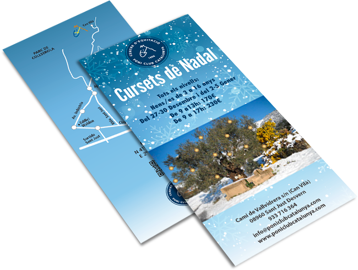 2016 Christmas Campaign For Cepcc - Graphic Design (850x567), Png Download