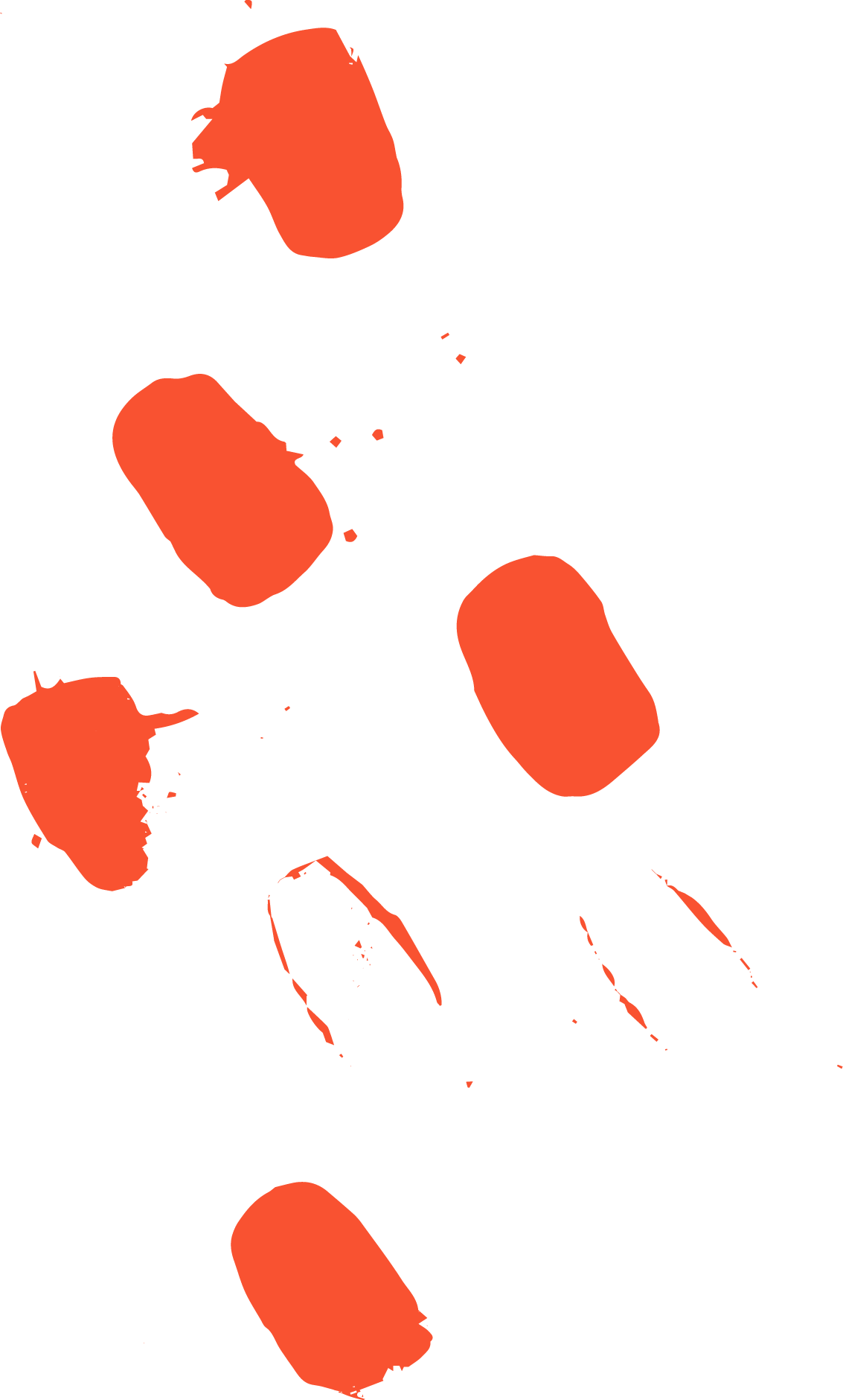 Illustration (1133x1880), Png Download