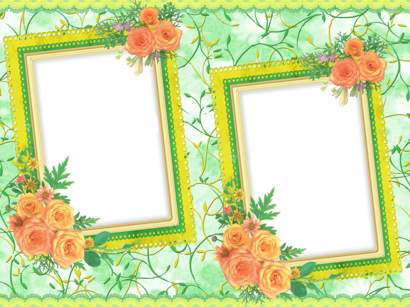 Moldura Para Fotos Flores - Moldura Para Fotos De Flores (800x600), Png Download