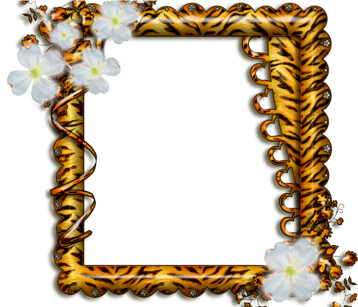 Moldura De Flores - Molduras Flores Para Editar (800x600), Png Download