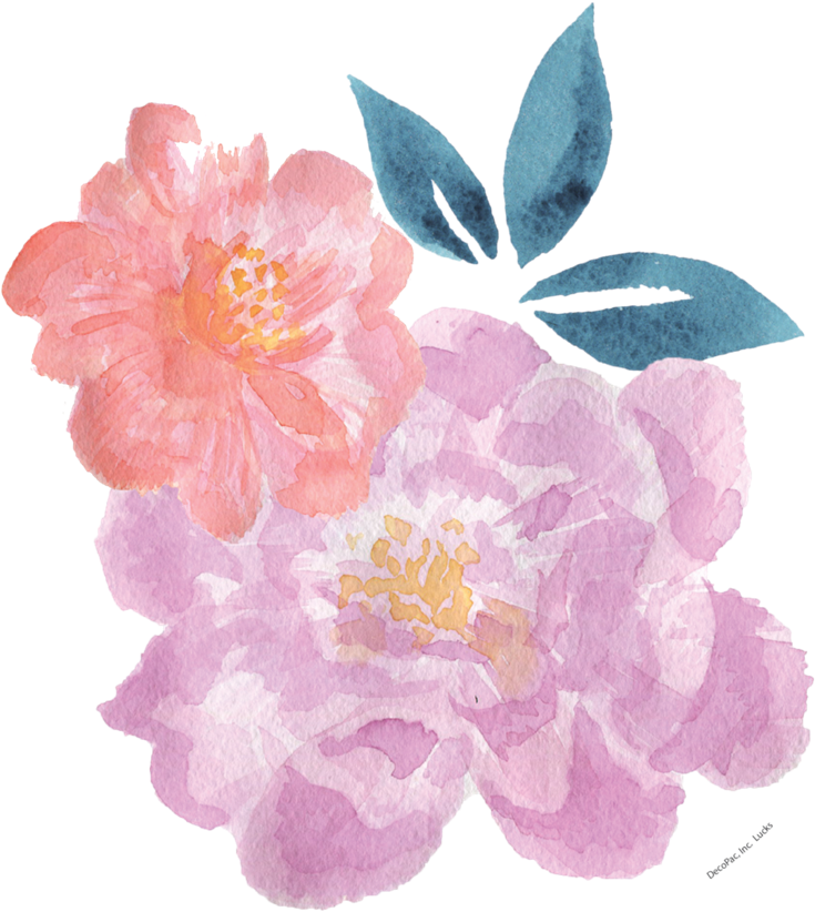 Watercolour Peony - Image - Watercolor Painting (800x870), Png Download