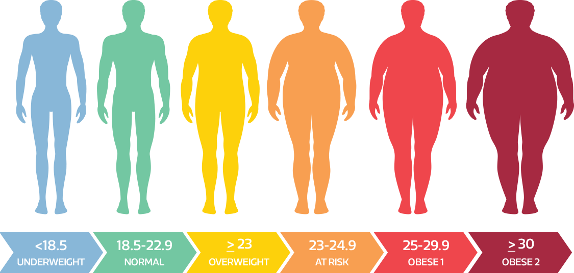 The World Health Organization Consultation On Obesity - Underweight Body (1125x536), Png Download