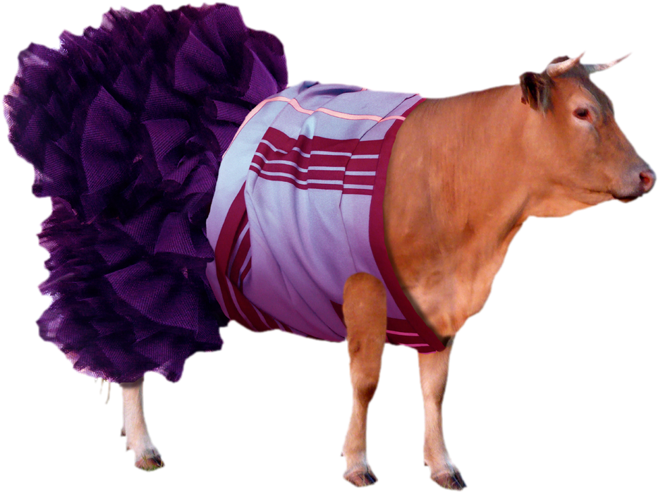 La Estatua De Libertad De Ny Y Su Museo - Cattle (1000x769), Png Download