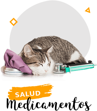 Medicamentos Para Gato - Set Of I Do Crew And Bride Pinback Button Pins, Bachelorette (402x372), Png Download