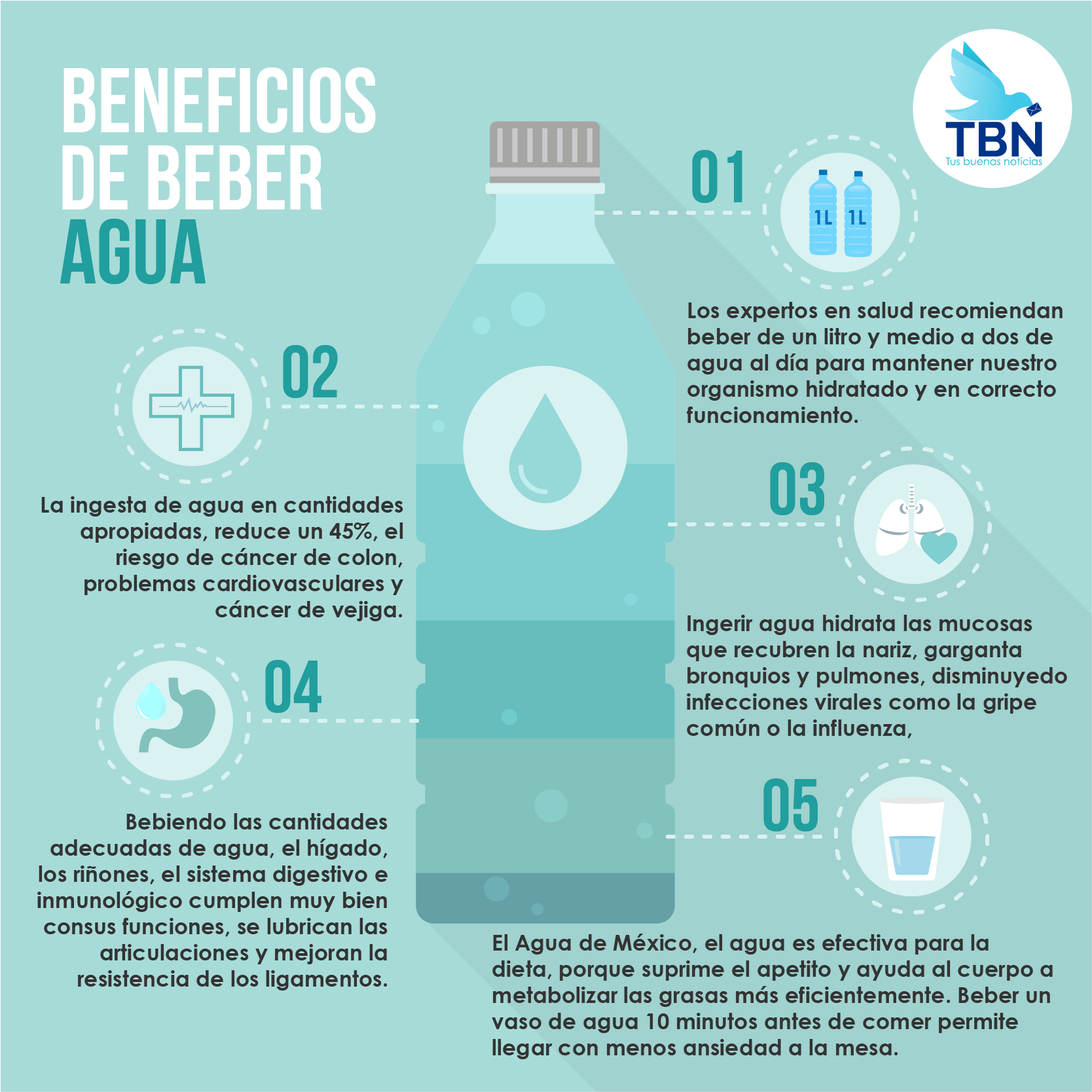 Tbn Trae Para Ti Los 10 Beneficios Que Te Otorga Beber - Water (2053x2430), Png Download