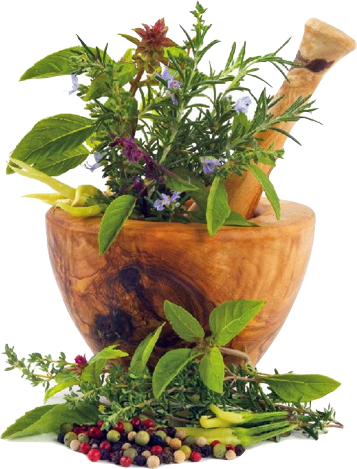 Los Medicamentos Homeopáticos Están Preparados A Partir - Natural Cures: Herbal Medicine For Natural Remedies (357x469), Png Download