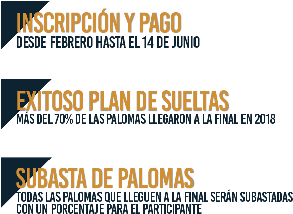 ¿listo Para Ser El Próximo Campeón - Colorfulness (609x452), Png Download