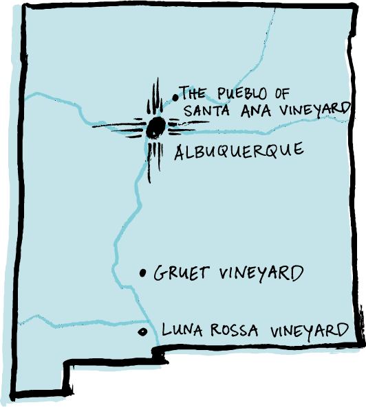 Our Vineyards - Illustration (532x593), Png Download