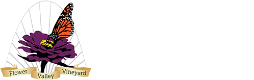 Flower Valley Vineyards And Winery Mn - Flower Valley Vineyards (500x256), Png Download