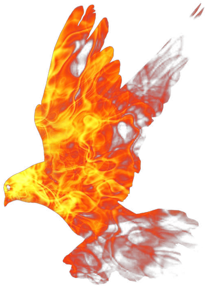 Огонь Png, Пламя, Огненная Птица, Голубь, Png Fire, - Fire (450x600), Png Download