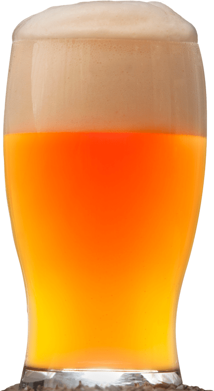 Cerveza Artesana Ecológica - Beer Glass (800x808), Png Download