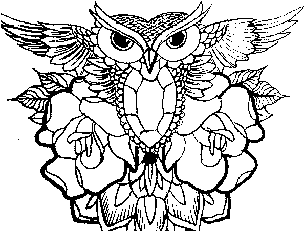 Dibujo De Símbolo Búho Para Colorear - Desenhos Para Colorir Adulto (600x470), Png Download