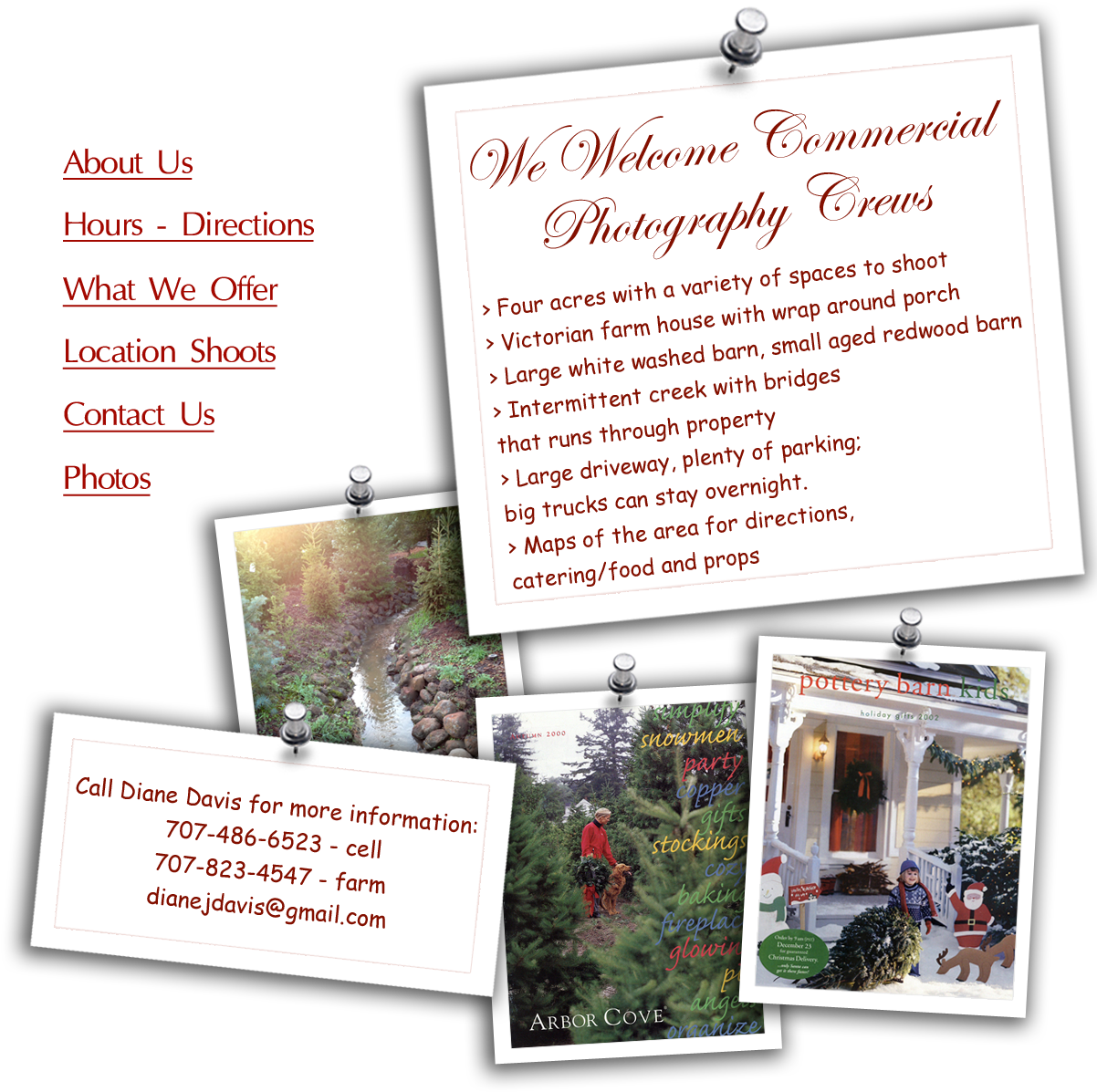 Picture Frame (1220x1579), Png Download