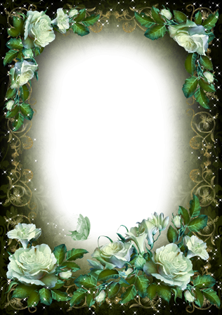 Rosas Blancas Vintage - Sheltie Guinea Pig (316x448), Png Download