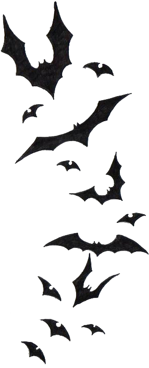Dibujos Png - Pencil Drawing Of Bats (329x750), Png Download