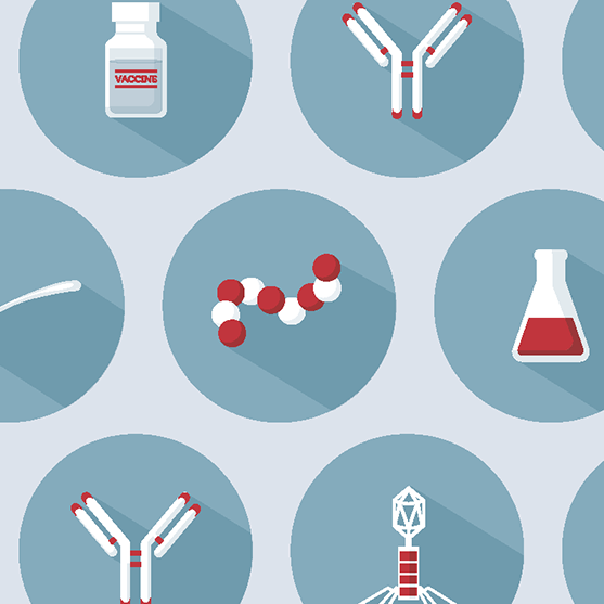 Antibiotics Illustration Antibiotics Illustration - Antibiotics (557x557), Png Download