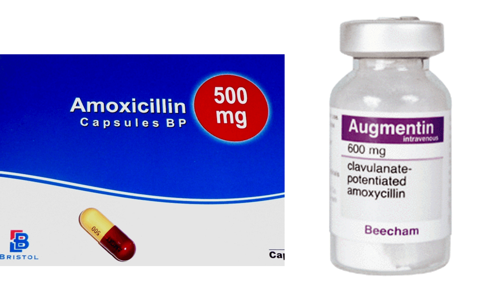 Image - Amoxicillin (957x568), Png Download