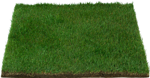 Fresh Grass Patch - Patio Pet Life Farm Fresh Pet Grass, Small (600x311), Png Download