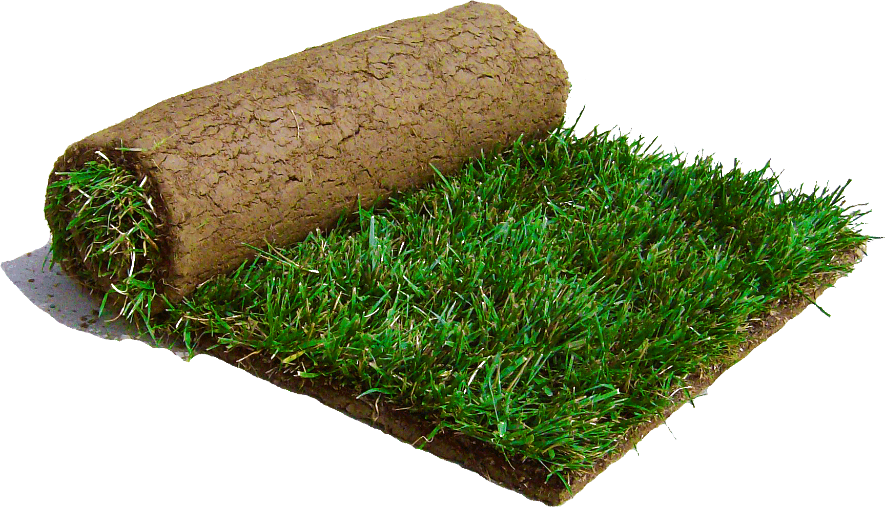 Saw A Patch Of Sod Laying On The Road - Sod Grass (1846x1107), Png Download
