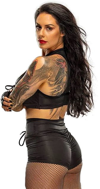 Kaitlyn - Wwe Kaitlyn Render (378x640), Png Download