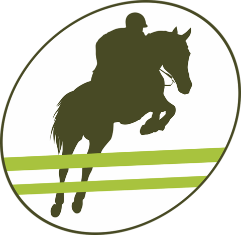 Jockey On Horse Jumping Equestrian Sport Label Vector - Jumping Horse Riding Png (480x469), Png Download
