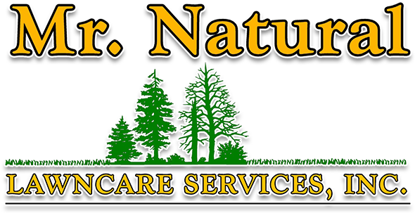 Natural Lawn Care Logo - Colorado Spruce (600x324), Png Download