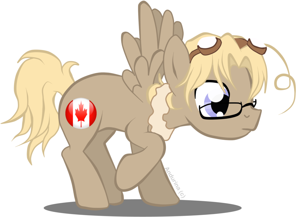 Dvixie, Canada, Glasses, Hetalia, Ponified, Safe, Solo - Canada Hetalia Pony (1209x1024), Png Download