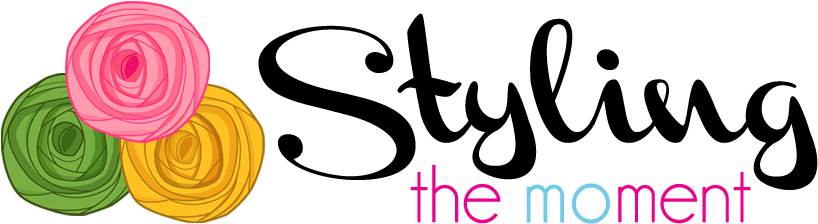 Styling The Moment - Styling Logo (900x300), Png Download