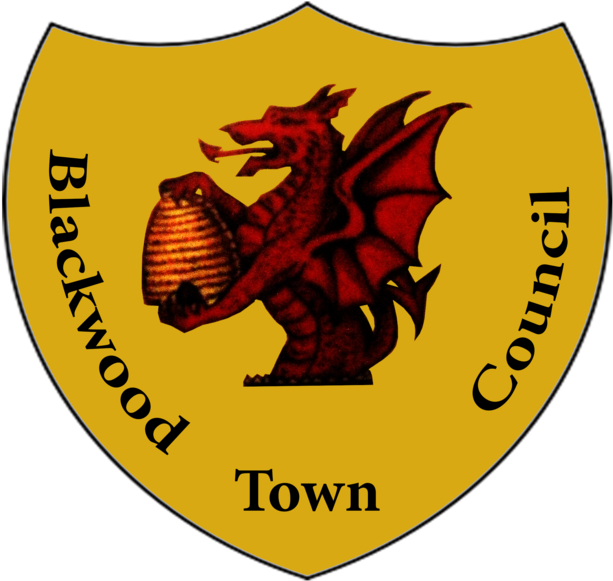 Blackwood Shield - Portable Network Graphics (1000x1500), Png Download