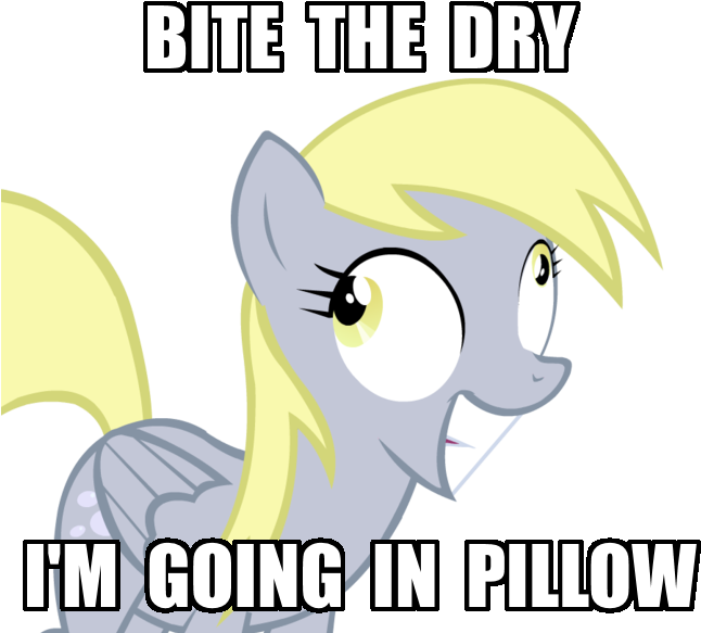 Ranviet, Bite The Pillow, Derp, Derpy Hooves, Female, - Am One With Evm (661x600), Png Download