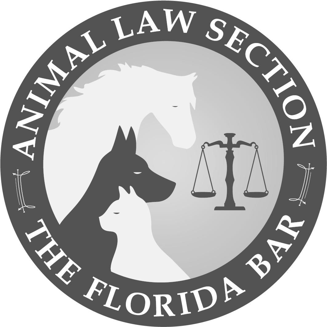 2641 Animal Law In Florida 2018 Dvd - Lights On A Zebra Crossing (1129x1129), Png Download