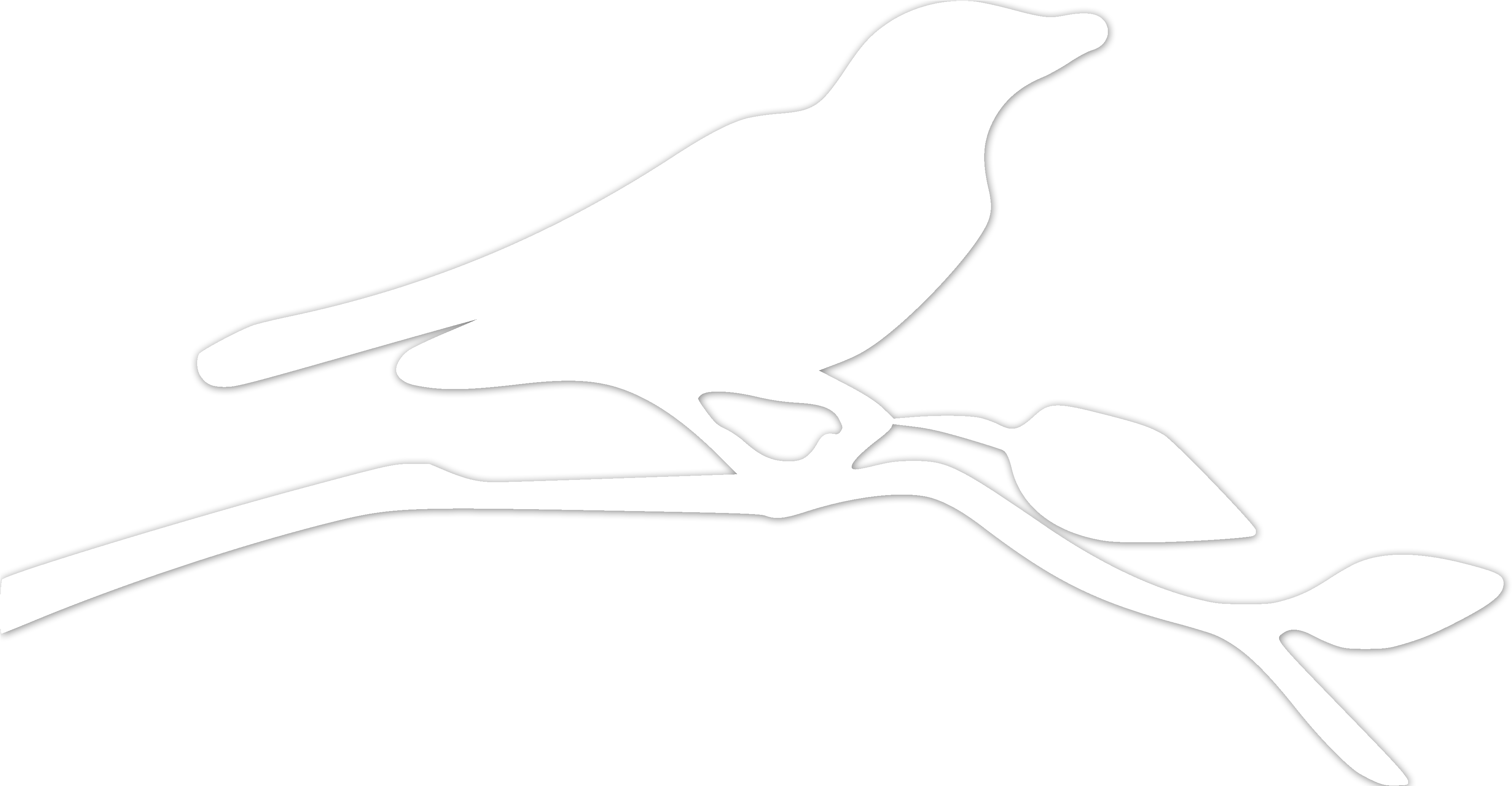 Bird - Brandon Reading Clinic (4038x2066), Png Download