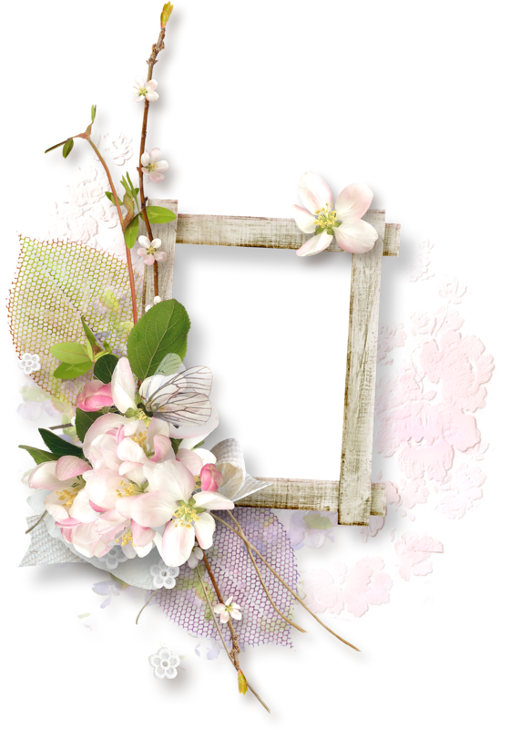 Immagine Buongiorno Jw Org (568x800), Png Download