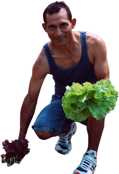 People Cutout, Cut Out People, People Png, Real People, - People Collage Architecture Png (500x621), Png Download