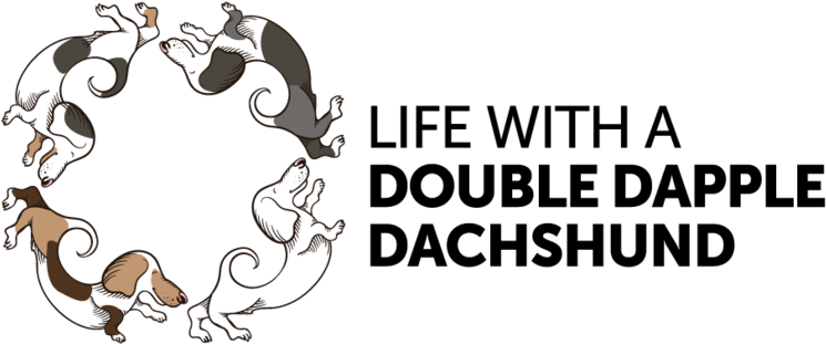 Florida (800x441), Png Download