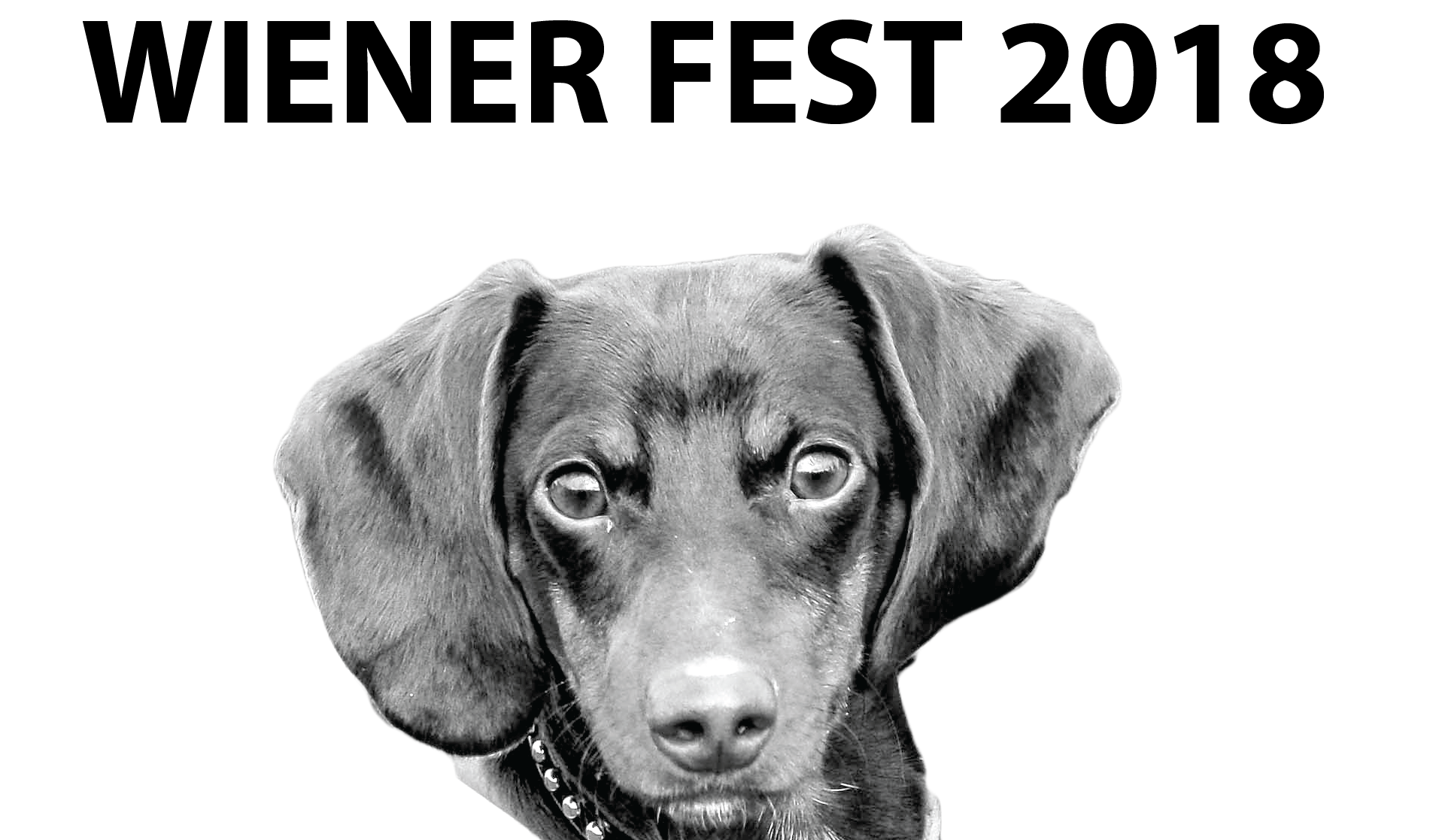 Dachshund (2250x1116), Png Download