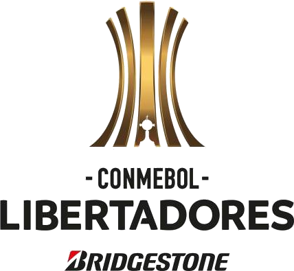 Conmebol Libertadores Bridgestone - Libertadores 2017 Png (428x395), Png Download