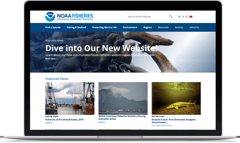 Noaa Website - Mobomo (801x478), Png Download